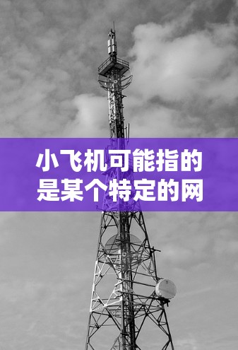 小飞机可能指的是某个特定的网络工具或项目名称，但根据上下文，它可能与网络稳定相关。以下是一些可能与网络稳定相关的工具或方法