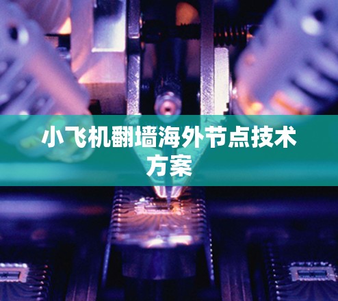 小飞机翻墙海外节点技术方案