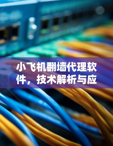 小飞机翻墙代理软件，技术解析与应用探讨