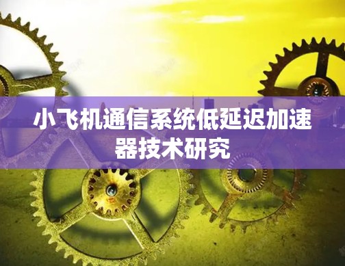 小飞机通信系统低延迟加速器技术研究