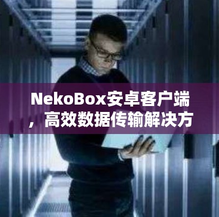 NekoBox安卓客户端，高效数据传输解决方案