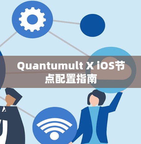 Quantumult X iOS节点配置指南