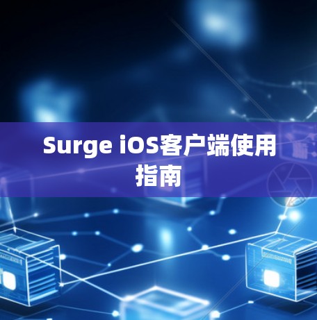 Surge iOS客户端使用指南