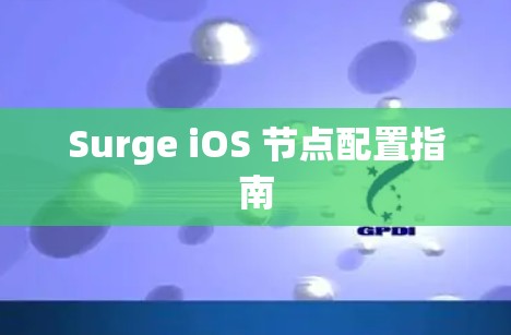 Surge iOS 节点配置指南