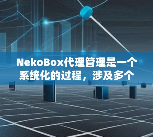NekoBox代理管理是一个系统化的过程，涉及多个步骤和考虑因素。以下是对NekoBox代理管理的详细分步说明