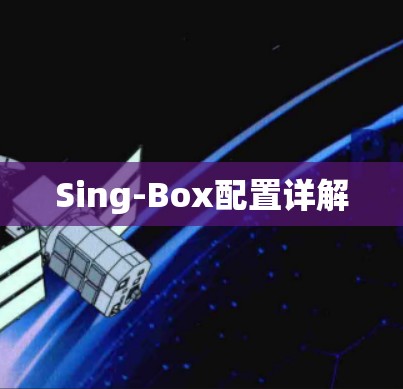 Sing-Box配置详解