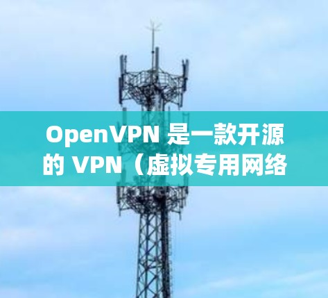 OpenVPN 是一款开源的 VPN（虚拟专用网络）软件，常用于为企业或个人提供安全的网络访问。以下是 OpenVPN 的基本使用方法