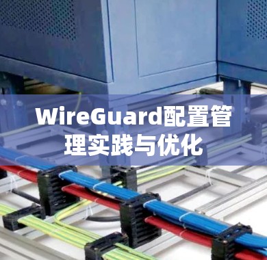 WireGuard配置管理实践与优化