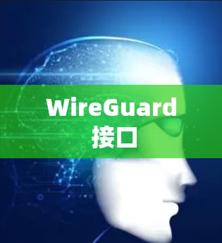WireGuard 接口