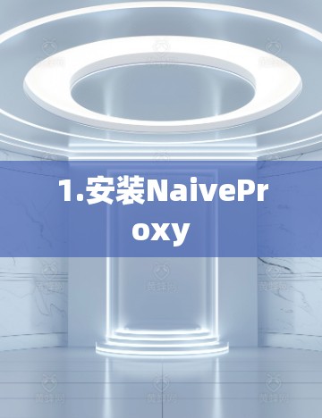 1.安装NaiveProxy