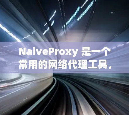 NaiveProxy 是一个常用的网络代理工具，用户可以通过它来代理网络请求、过滤、重写、限流等。以下是使用 NaiveProxy 的基本方法和步骤