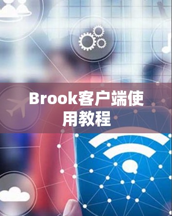 Brook客户端使用教程