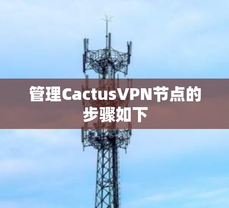 管理CactusVPN节点的步骤如下