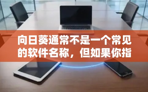 向日葵通常不是一个常见的软件名称，但如果你指的是向日葵这个名字的软件，可能有以下几种可能