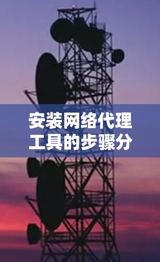 安装网络代理工具的步骤分为几个主要环节，以下是详细的指南