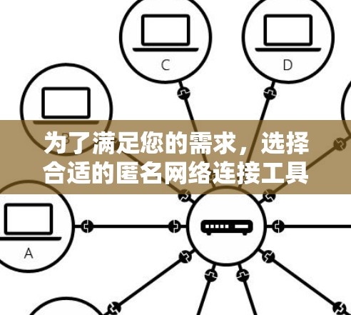 为了满足您的需求，选择合适的匿名网络连接工具至关重要。以下是基于您的需求分析和考虑后的推荐