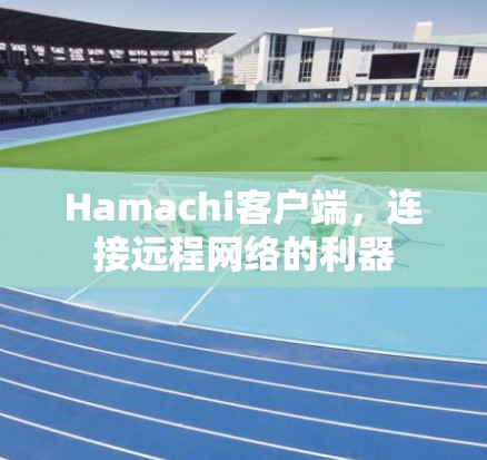 Hamachi客户端，连接远程网络的利器