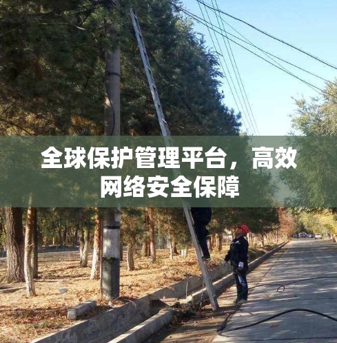 全球保护管理平台，高效网络安全保障
