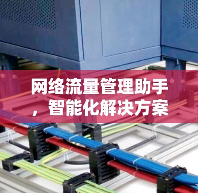 网络流量管理助手，智能化解决方案