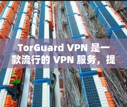 TorGuard VPN 是一款流行的 VPN 服务，提供高级的隐私和安全保护。如果你需要下载 TorGuard VPN 的安装包，可以按照以下步骤操作