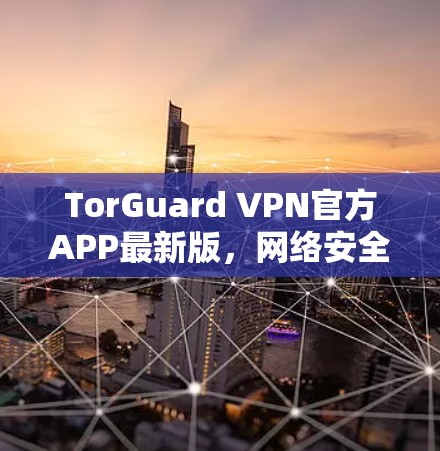 TorGuard VPN官方APP最新版，网络安全新标杆