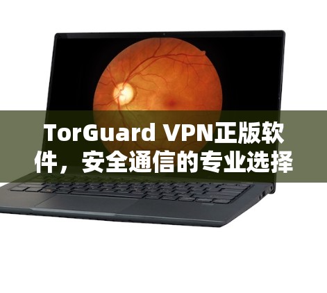 TorGuard VPN正版软件，安全通信的专业选择
