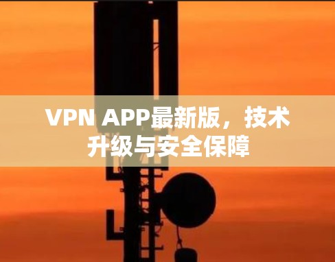 VPN APP最新版，技术升级与安全保障