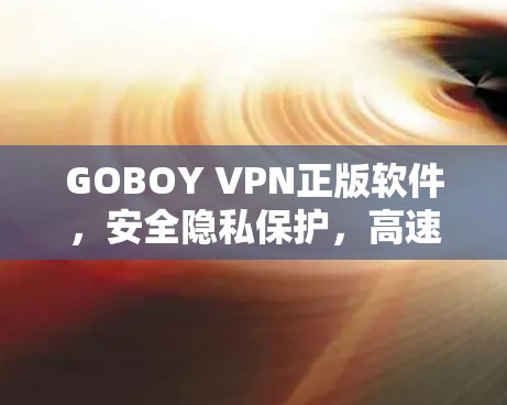 GOBOY VPN正版软件，安全隐私保护，高速稳定连接