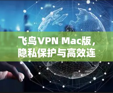 飞鸟VPN Mac版，隐私保护与高效连接的完美融合